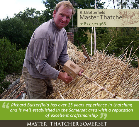 Specialist Thatcher Taunton
