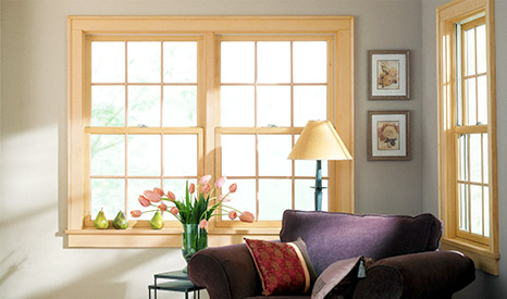Sash Windows Devon