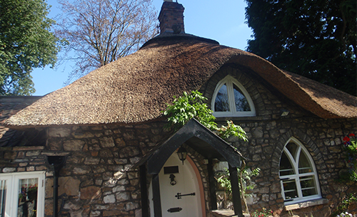 Thatch Repairs