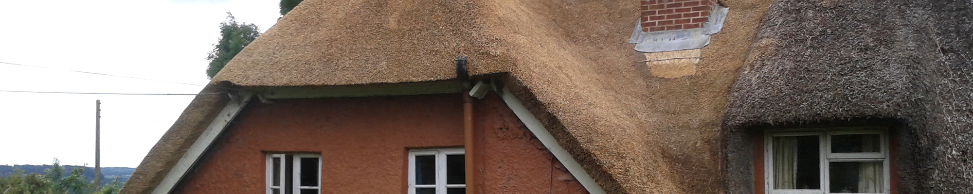 Thatch Roof Repair